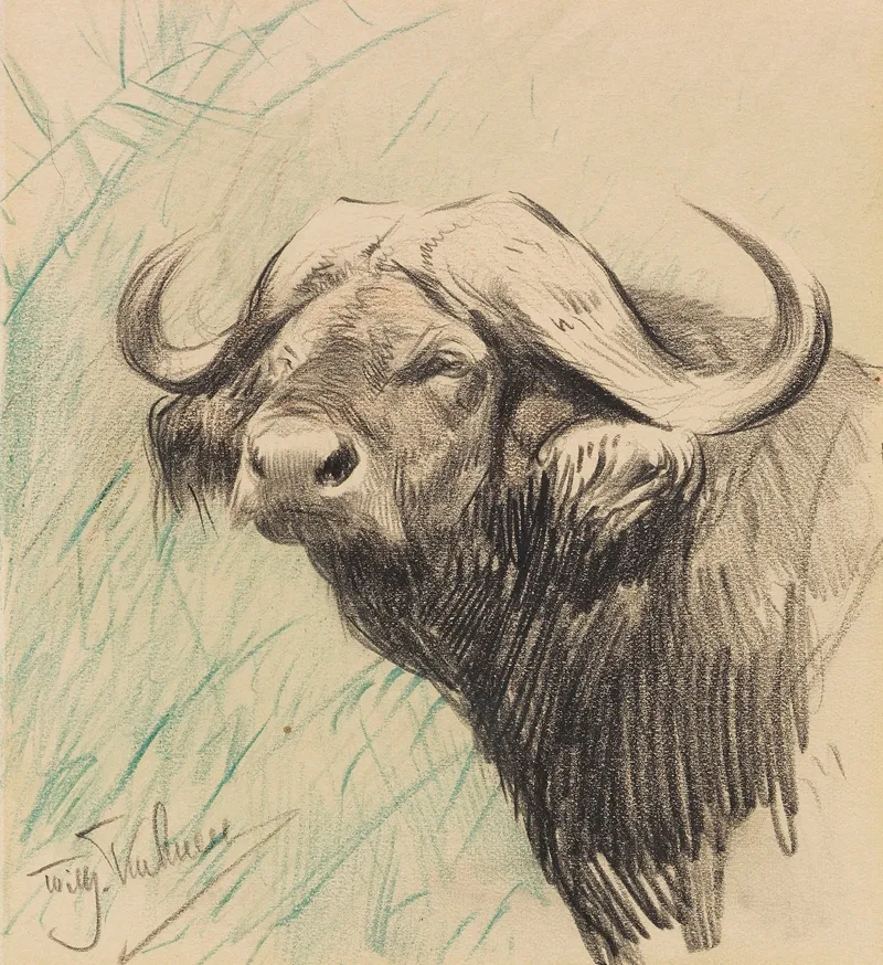 Kaffernbuffel Wall Art by Wilhelm Kuhnert - High-Resolution Digital Print
