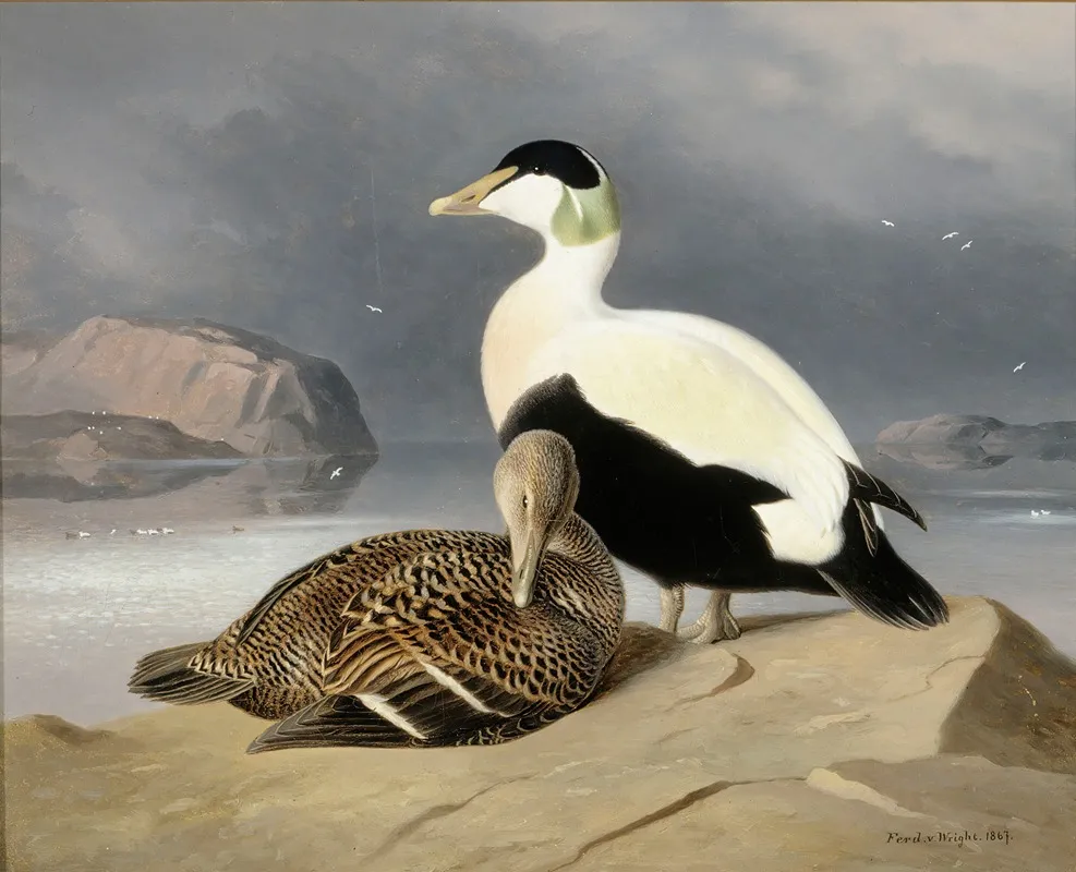 Kaksi Haahkaa Wall Art by Ferdinand von Wright - High-Resolution Digital Print