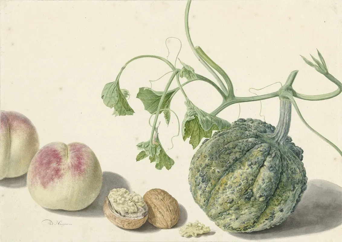 Kalebas Twee Perziken En Een Walnoot Wall Art by Michiel van Huysum - High-Resolution Digital Print