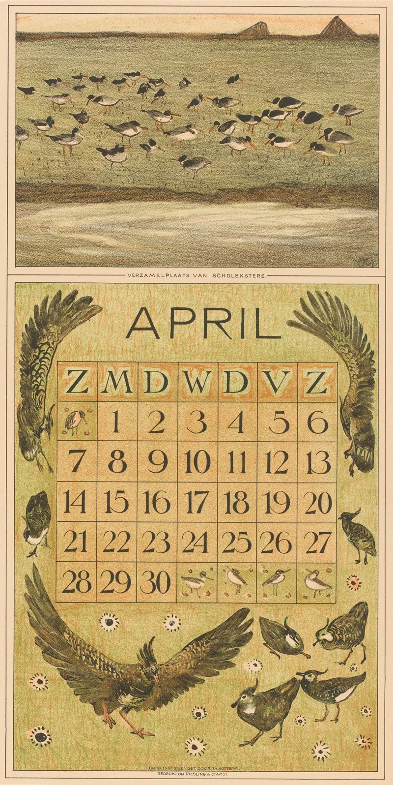 Kalenderblad April Met Scholeksters En Kieviten