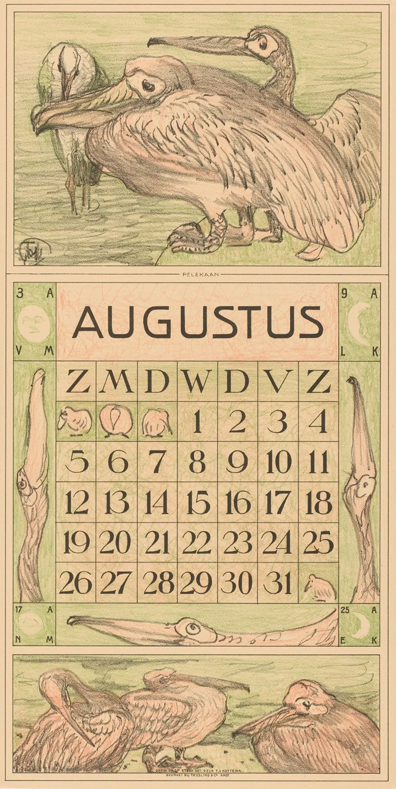 Kalenderblad Augustus Met Pelikanen