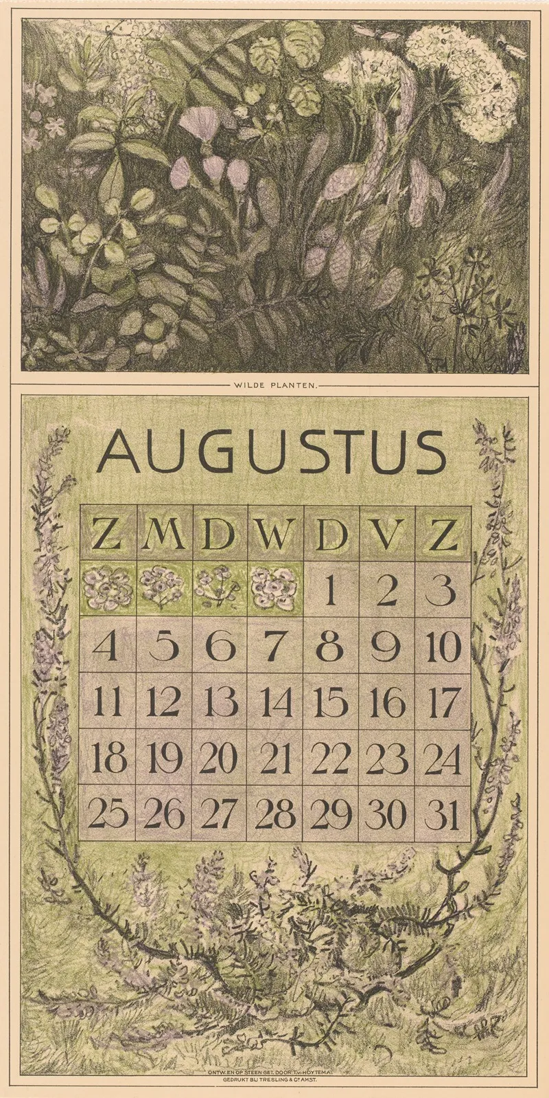 Kalenderblad Augustus Met Planten