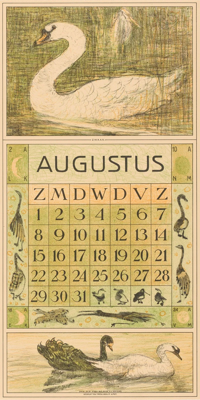 Kalenderblad Augustus Met Zwaan