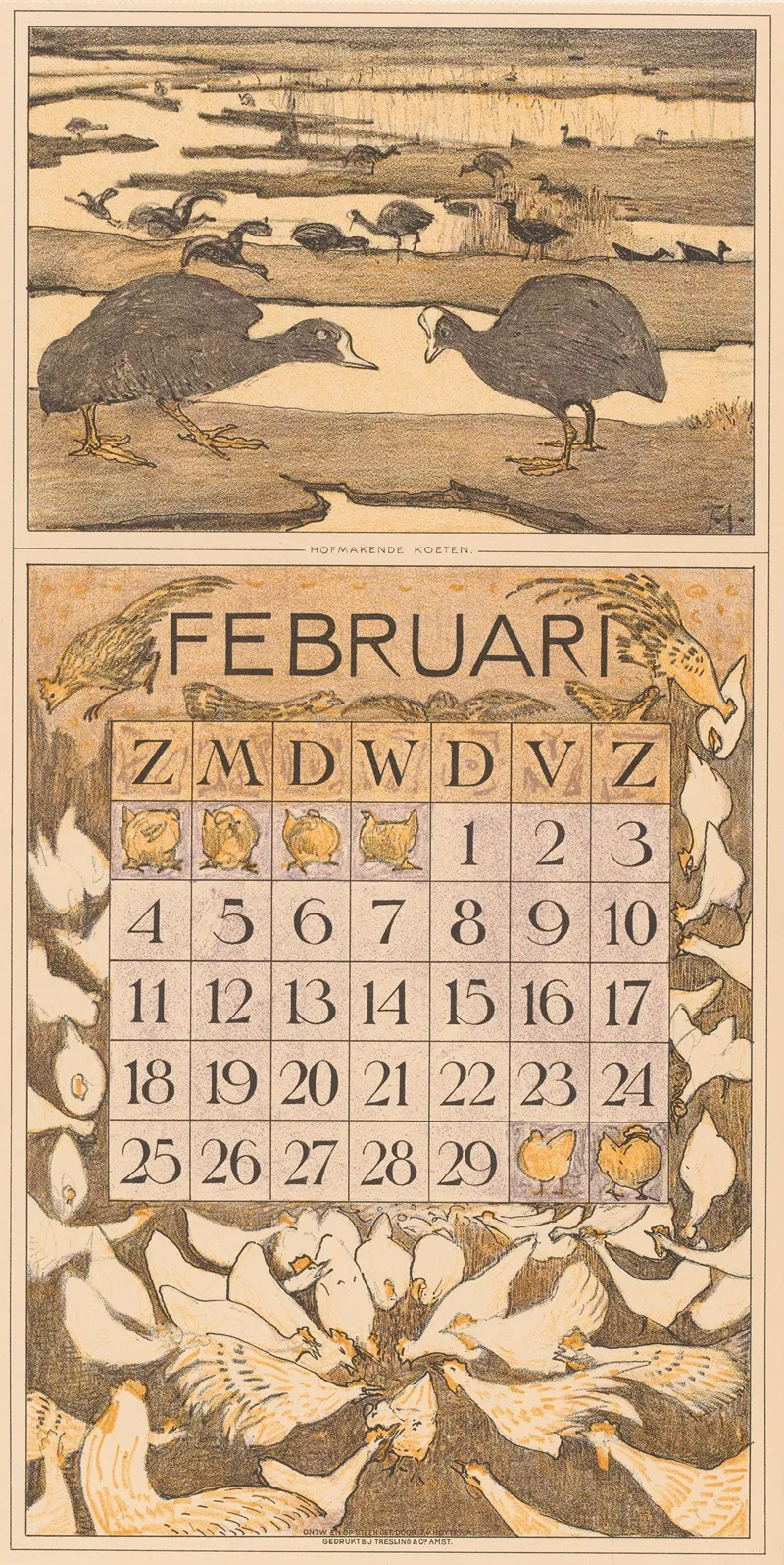 Kalenderblad Februari Met Meerkoeten