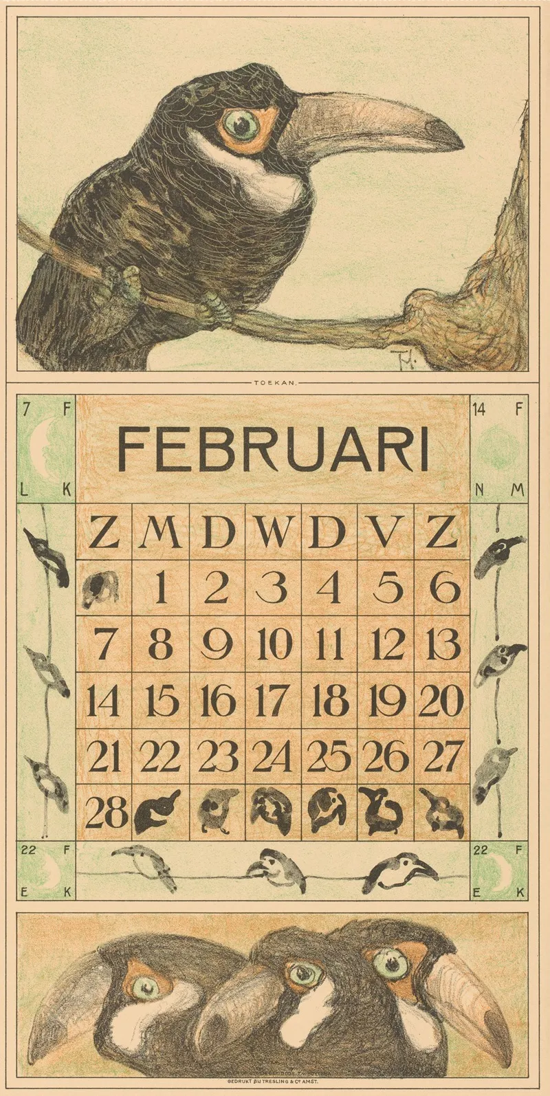 Kalenderblad Februari Met Toekan