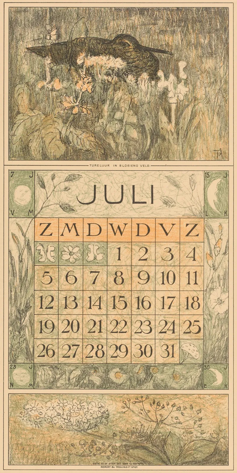 Kalenderblad Juli Met Tureluur 2