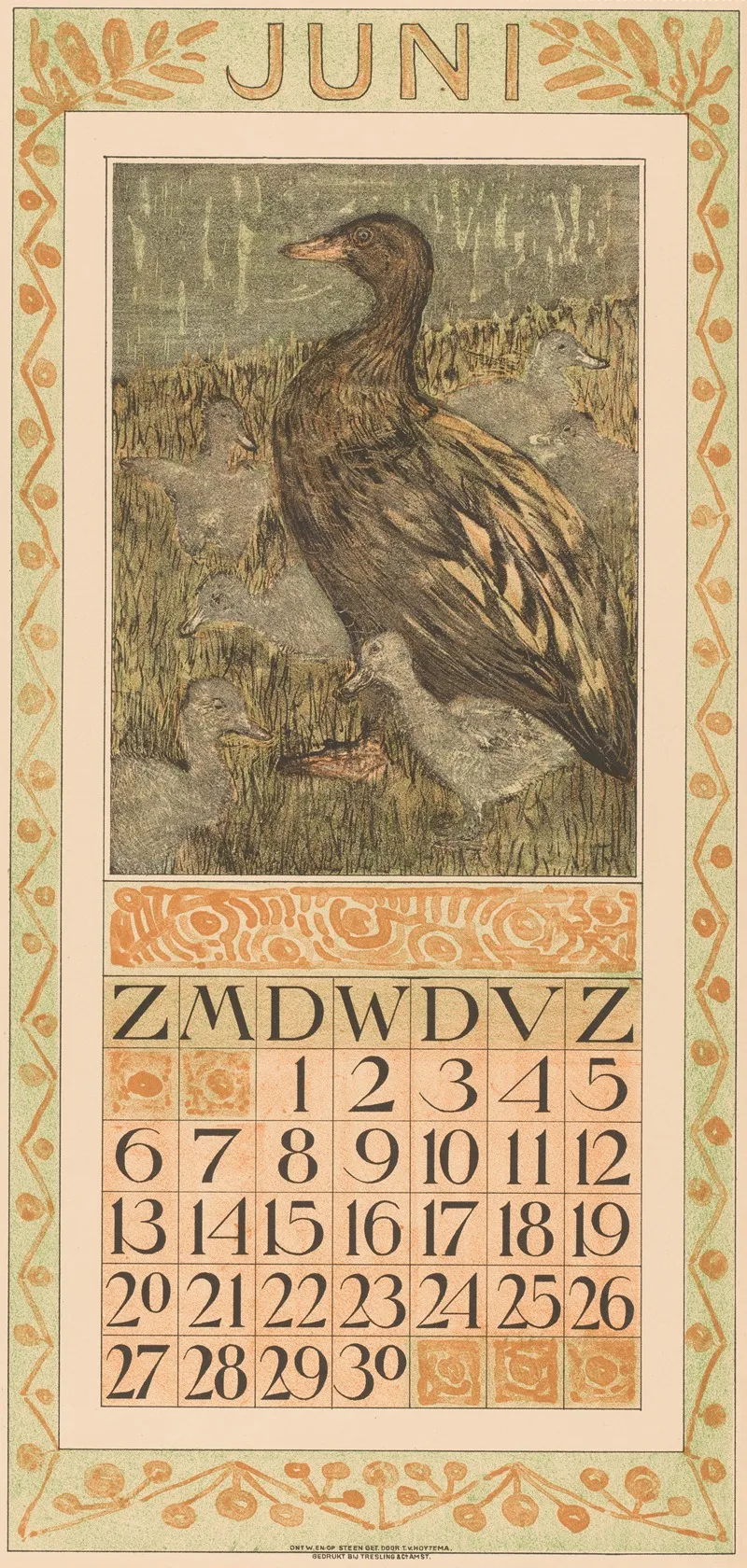 Kalenderblad Juni Met Eend Met Kuikens