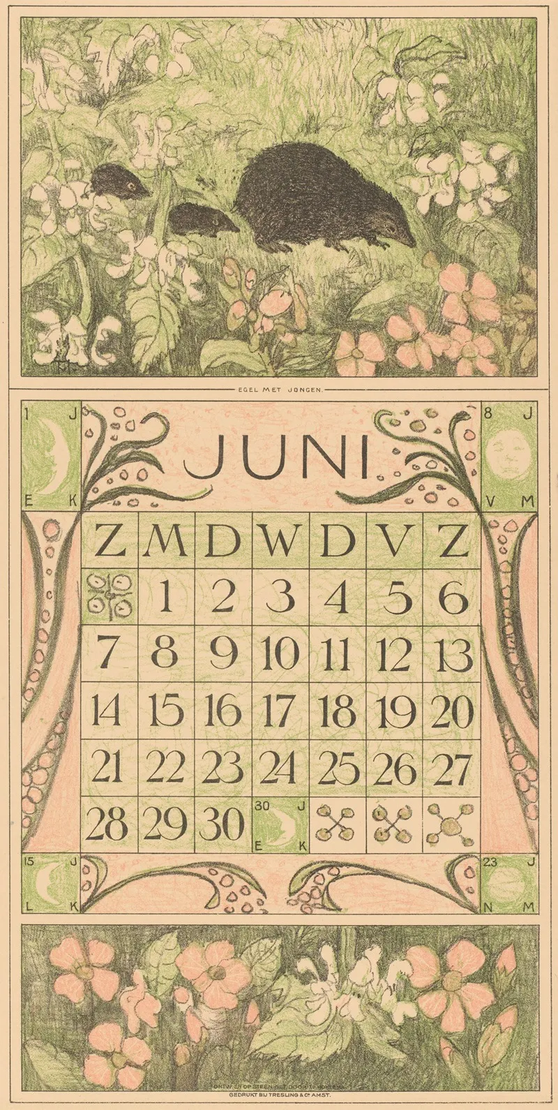 Kalenderblad Juni Met Egels