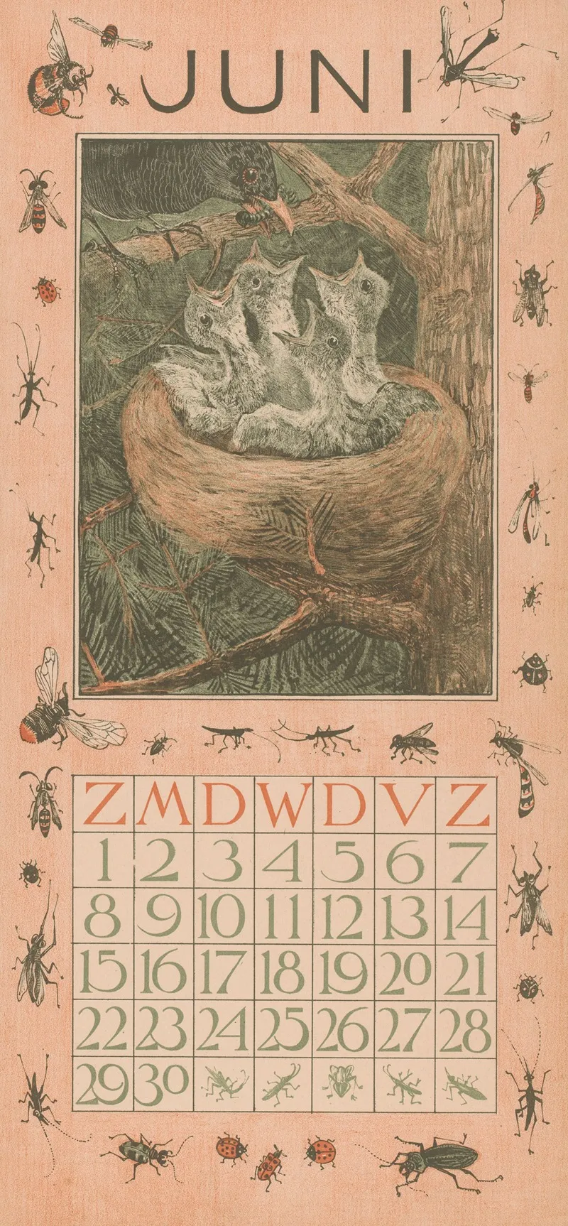 Kalenderblad Juni Met Jonge Vogels