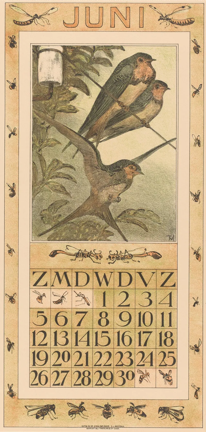 Kalenderblad Juni Met Zwaluwen