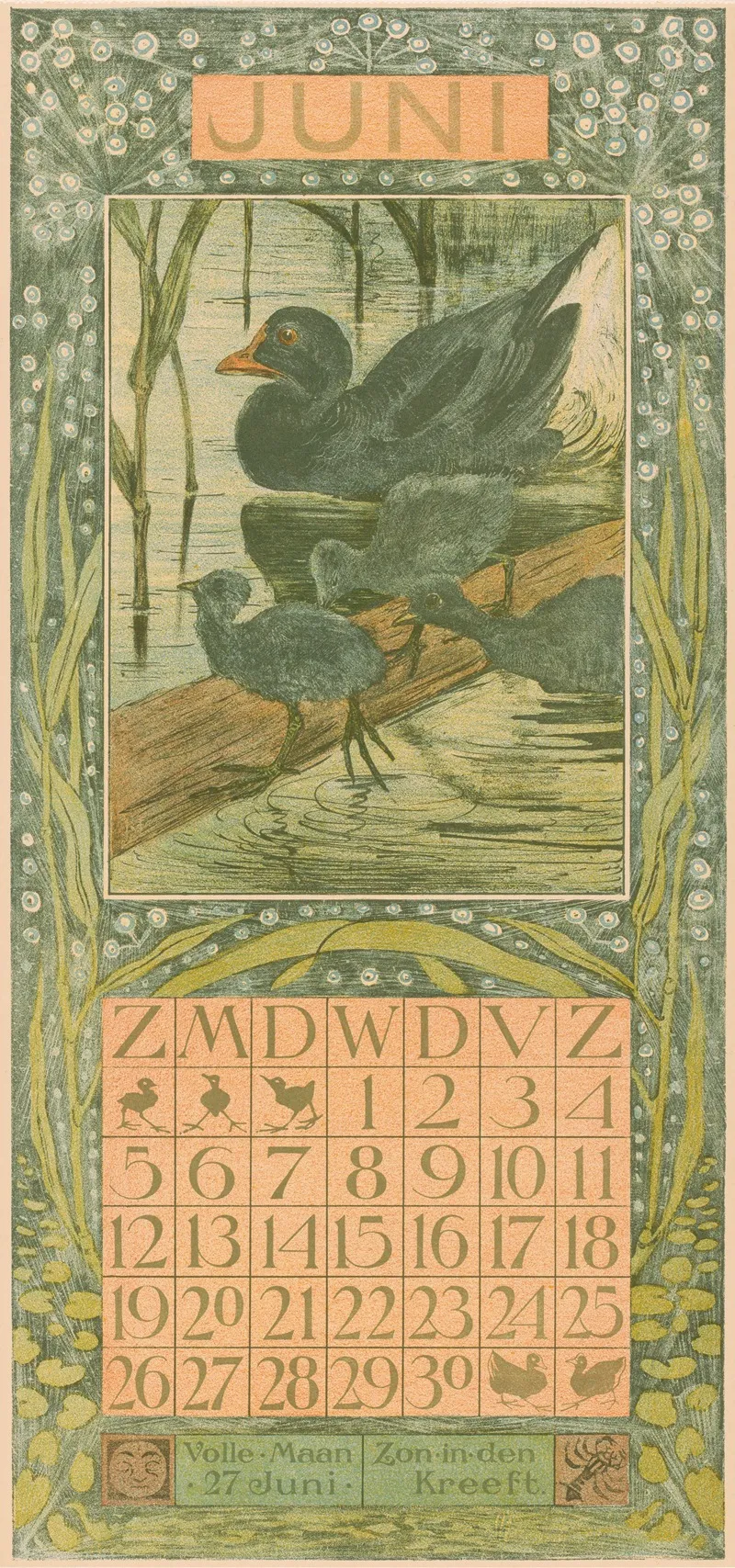 Kalenderblad Juni Met Zwarte Eend