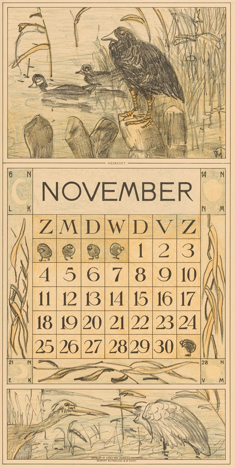 Kalenderblad November Met Meerkoet Op Een Paal