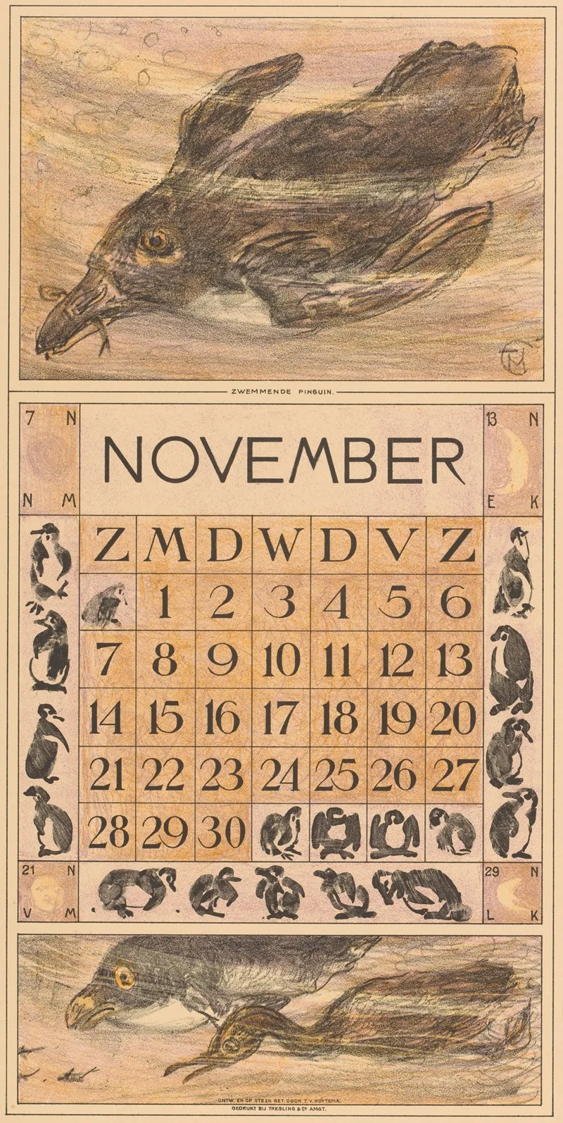 Kalenderblad November Met Zwemmende Pinguin
