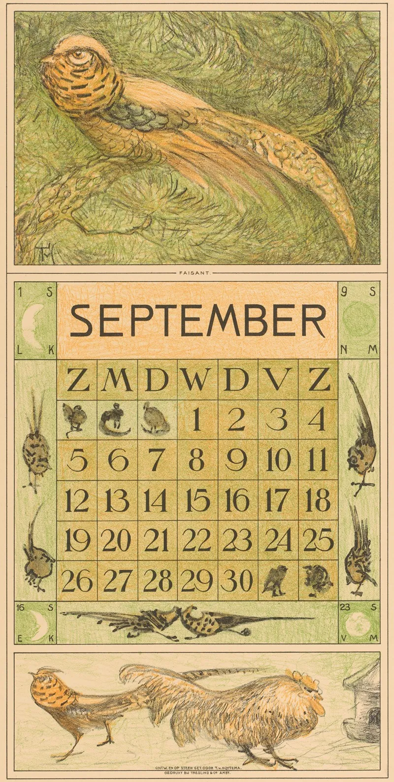 Kalenderblad September Met Goudfazant