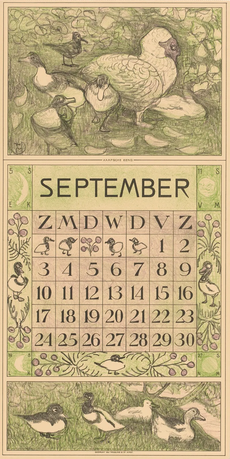 Kalenderblad September Met Muskuseend