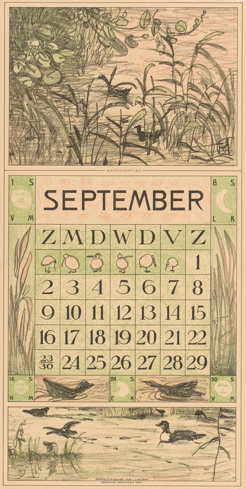 Kalenderblad September Met Watervogels Tussen Het Riet