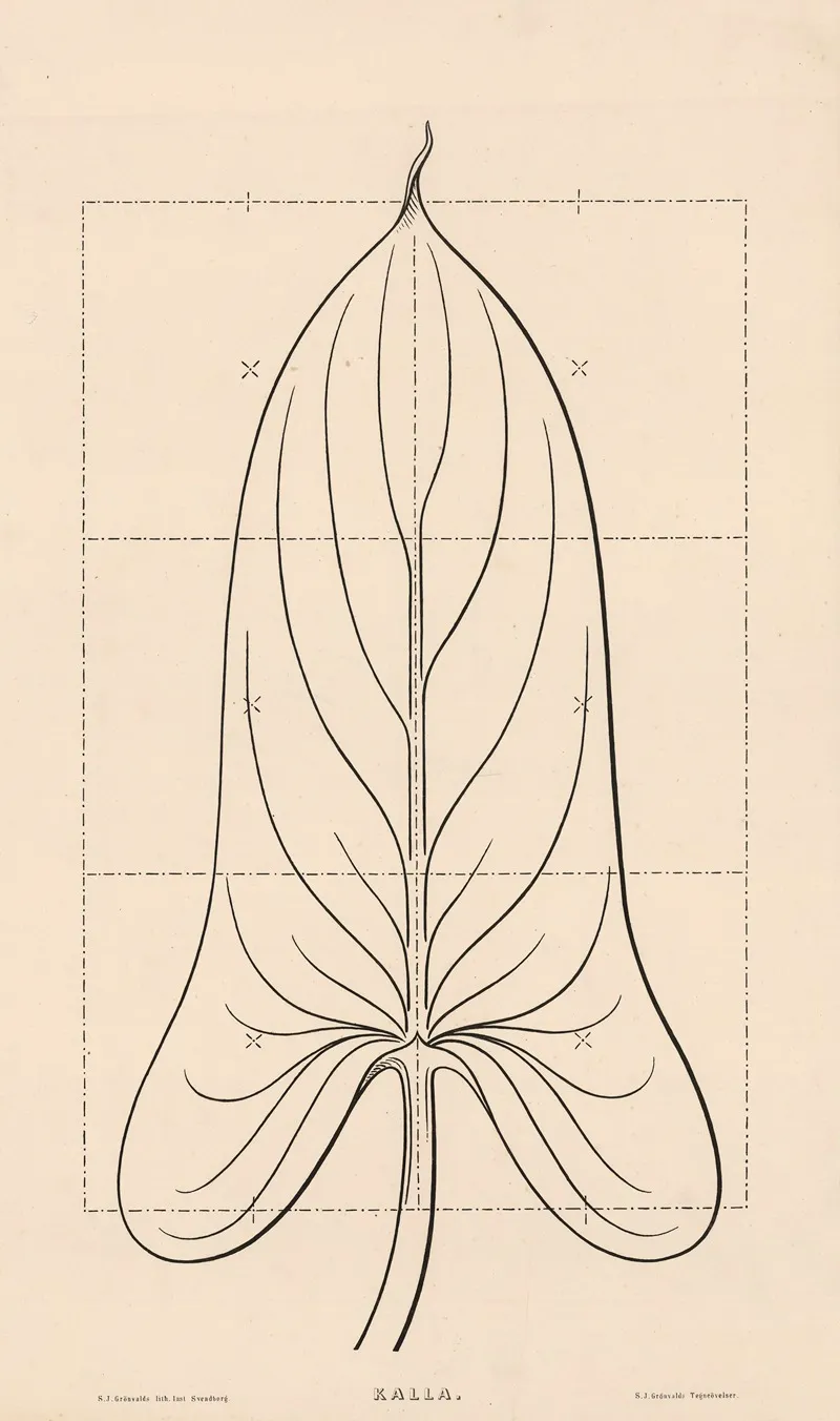 Kalla A Leaf Wall Art by Søren Jacob Grønvald - High-Resolution Digital Print