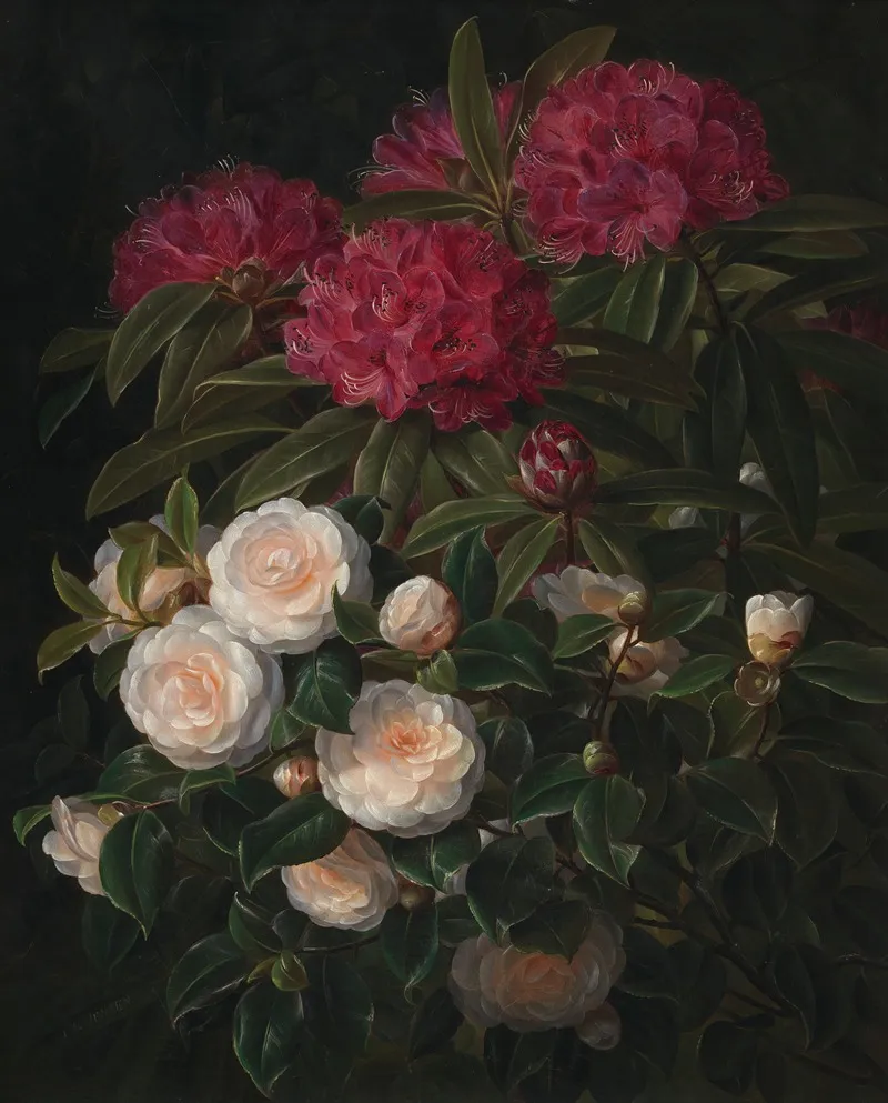 Kamelier Og Rhododendron Wall Art by Johan Laurentz Jensen - High-Resolution Digital Print