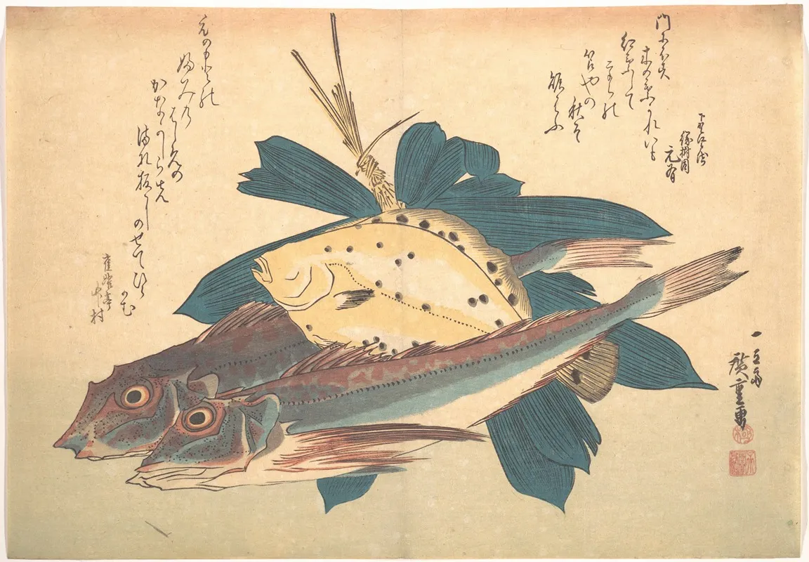 Kanagashira And Karei Fish