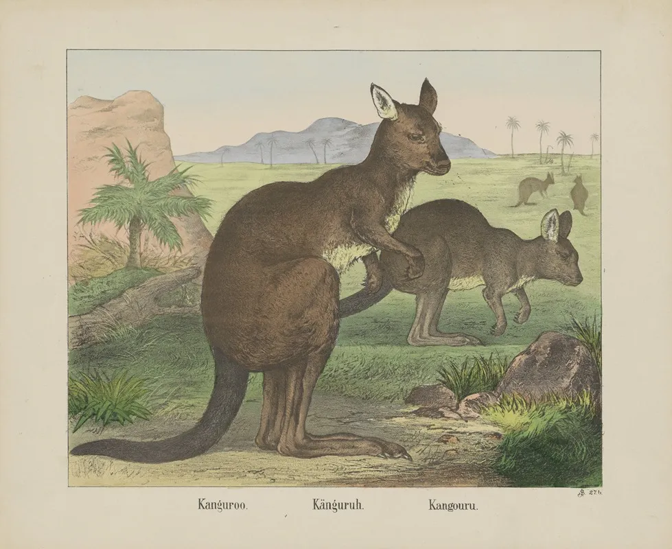 Kangaroo Wall Art by Joseph Scholz - High-Resolution Digital Print