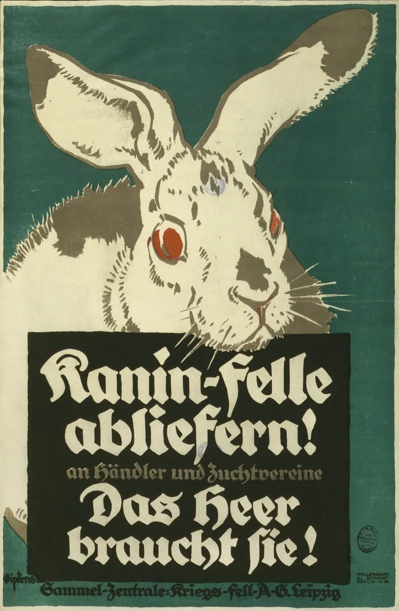 Kanin Felle Abliefern An Handler Und Zuchtvereine Das Heer Braucht Sie Wall Art by Julius Gipkens - High-Resolution Digital Print