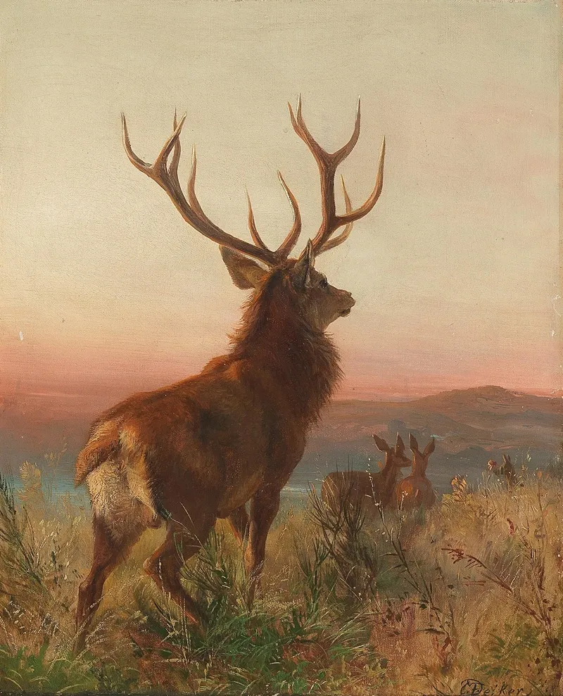 Kapitaler Hirsch Mit Tieren