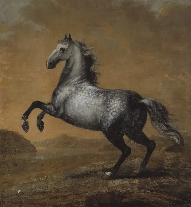 Karl Xis Livhast Den Lille Englandaren 2 Wall Art by David Klöcker Ehrenstrahl - High-Resolution Digital Print
