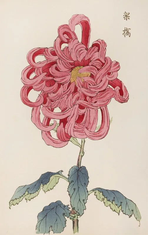 Keika Hyakugiku Pl 25 Wall Art by Keika Hasegawa - High-Resolution Digital Print