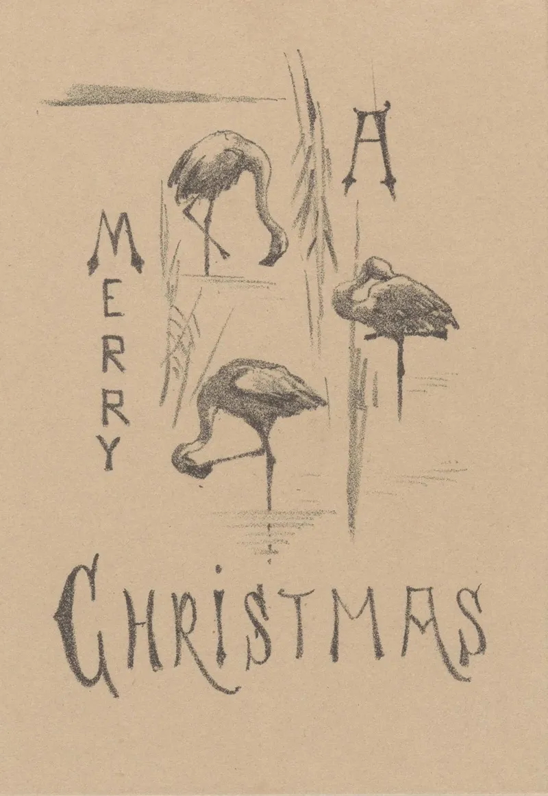 Kerstkaart Met Drie Flamingos