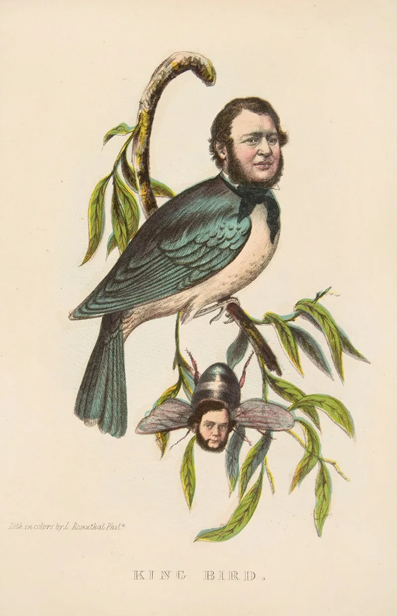 King Bird Robert P King And Alexander Baird