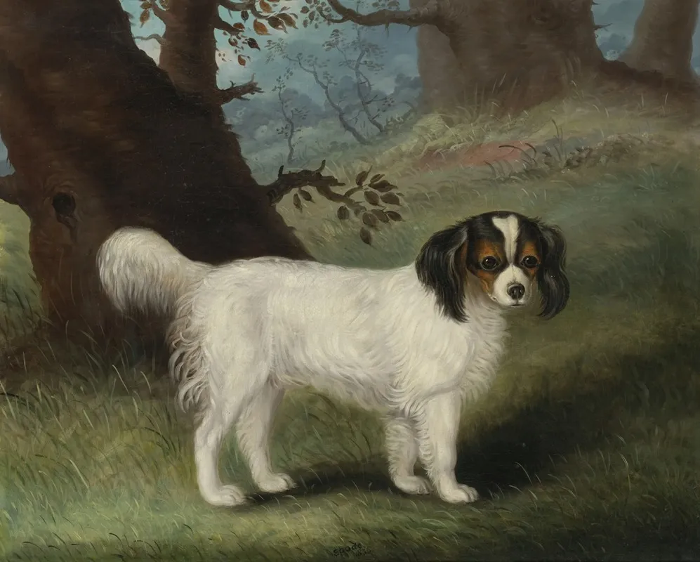 King Charles Spaniel 2 Wall Art by Samuel Spode - High-Resolution Digital Print