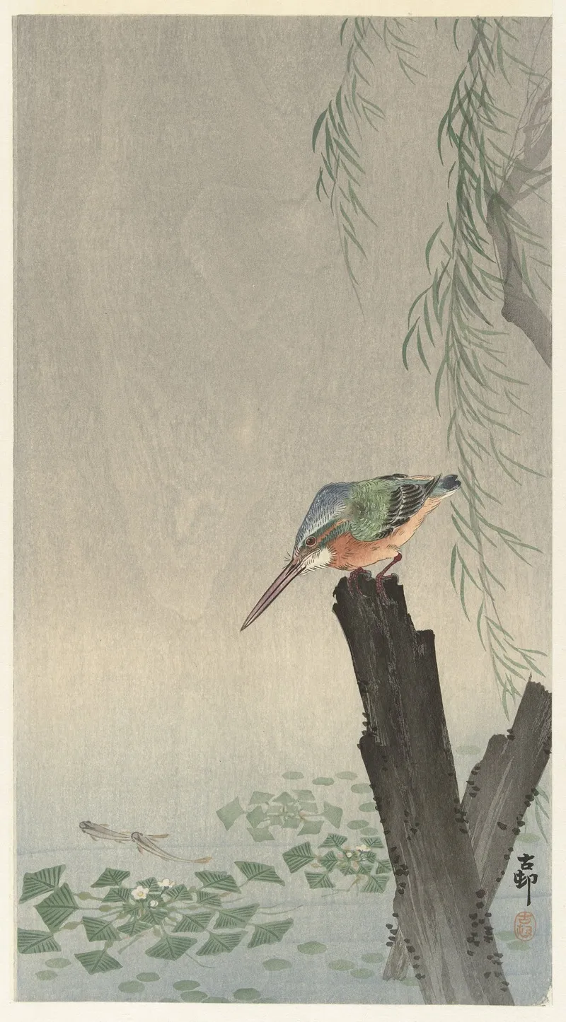 Kingfisher On Tree Stump