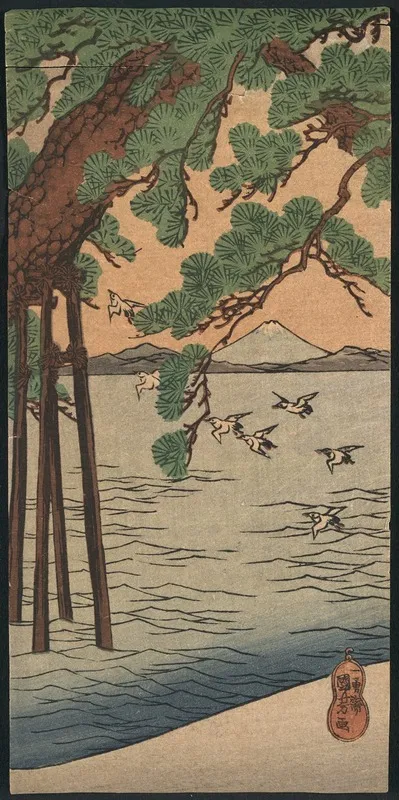 Kisibe No Matsu