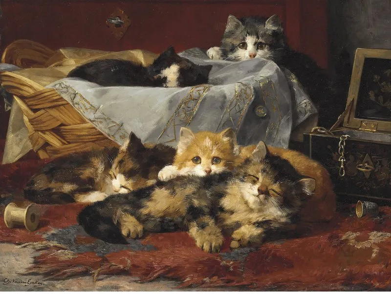 Kittens In A Basket