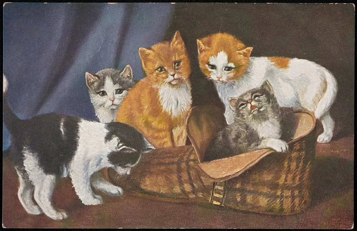 Kittens Playing With A Shoe Wall Art by O.G.Z.-L - High-Resolution Digital Print