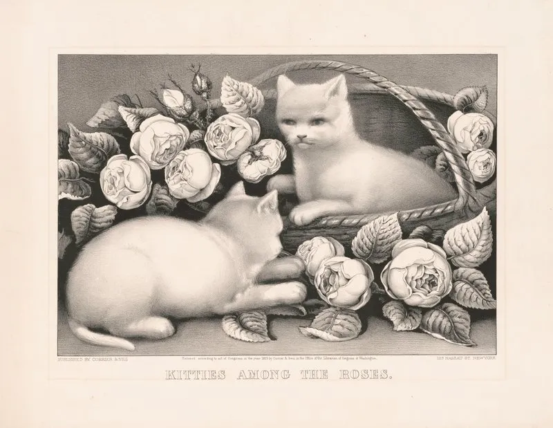 Kitties Among The Roses