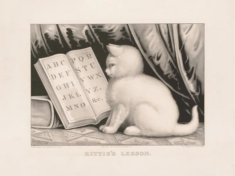 Kitties Lesson