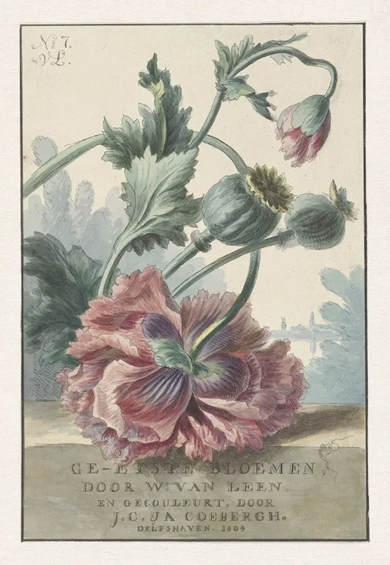 Klaprozen 2