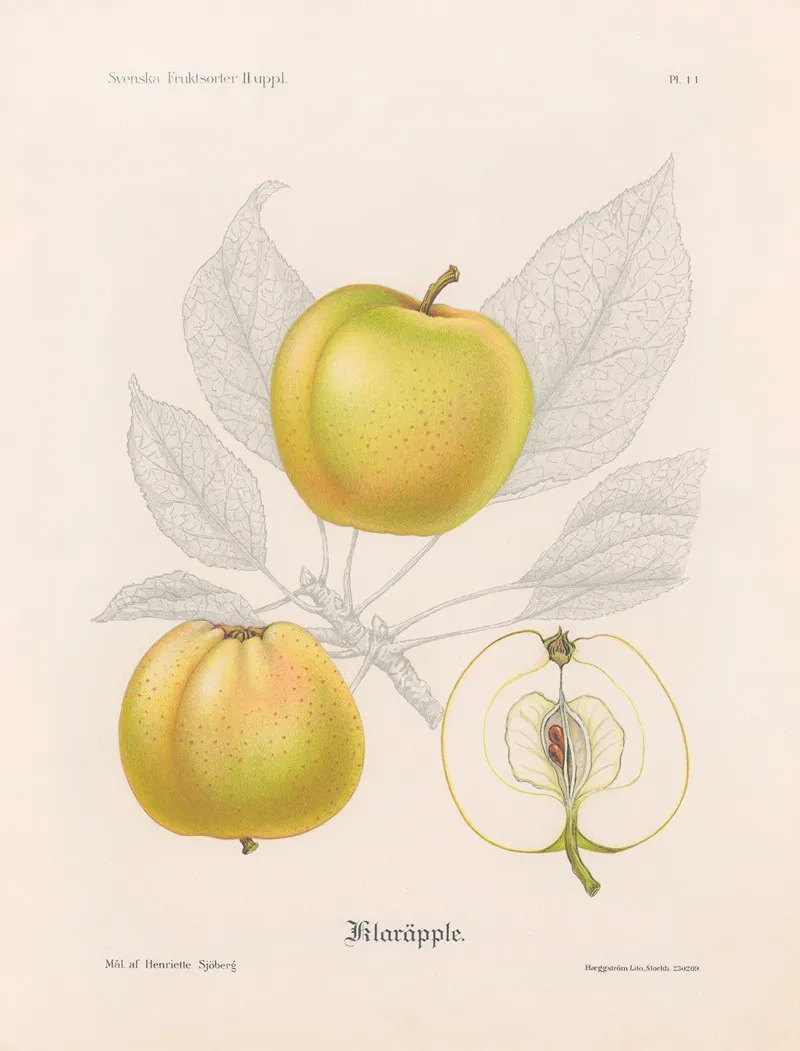 Klarapple Wall Art by Henriette Sjöberg - High-Resolution Digital Print