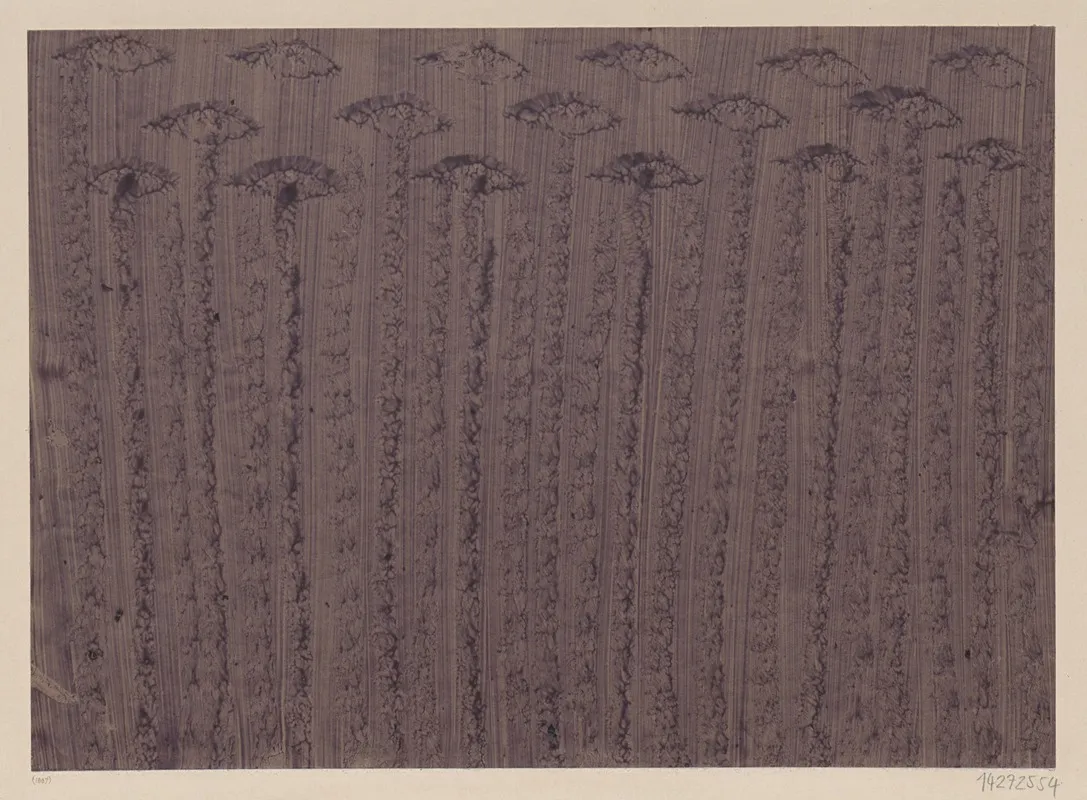 Kleisterpapier Blutenstengel