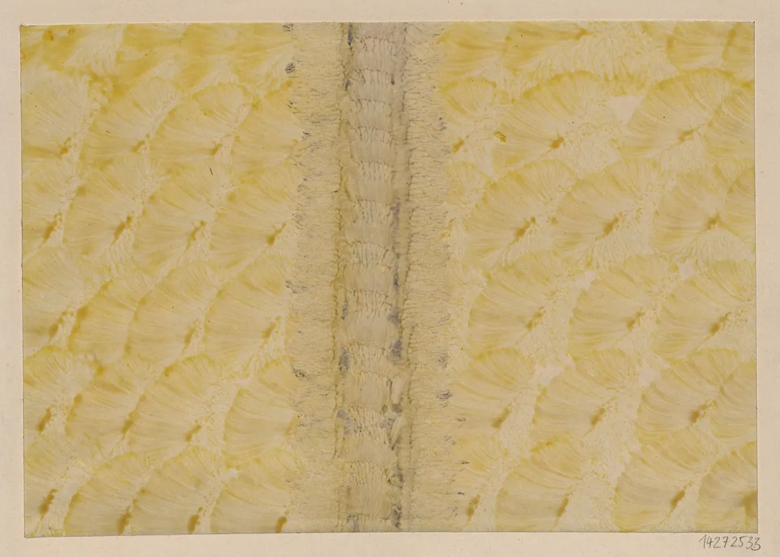 Kleisterpapier Mit Pinseldekor 4