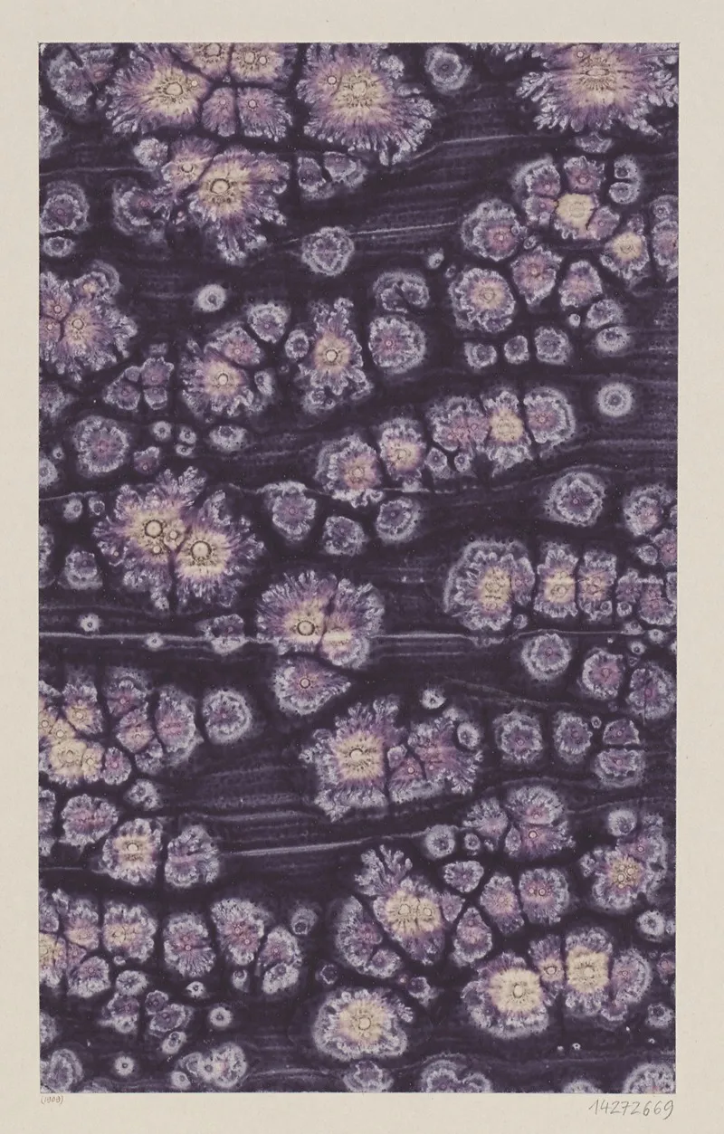Kleisterpapier Mit Sonnenmarmormotiven 2