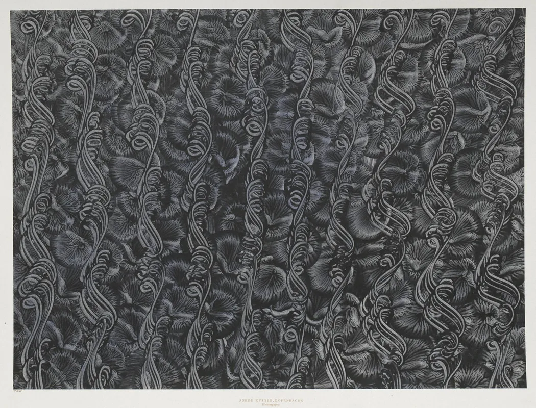 Kleisterpapier Mit Verdrangungsdekor 9