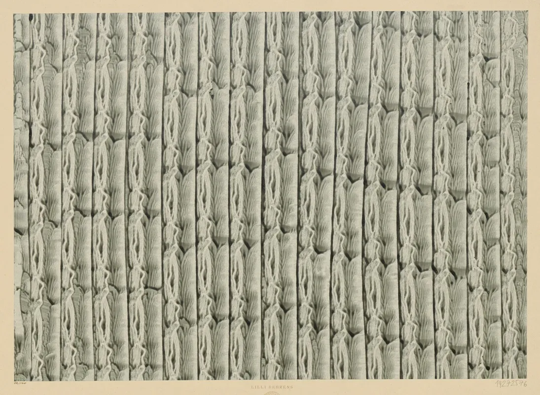 Kleisterpapier Streifen 5