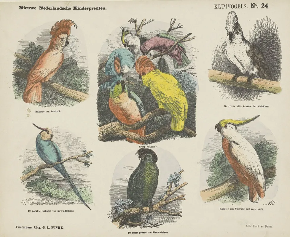 Klimvogels