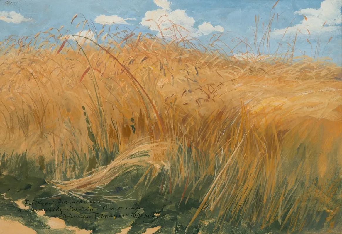 Klosy Field And Cereal Studies