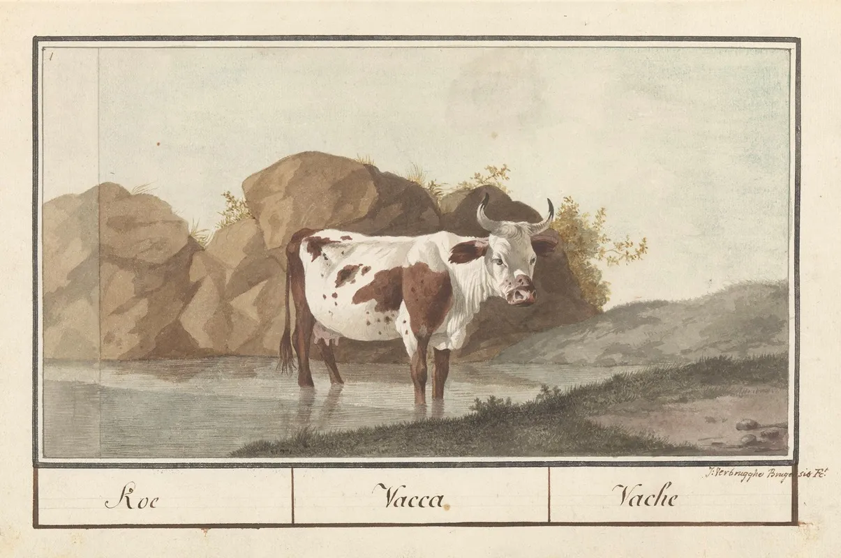 Koe Bos Taurus Koe Vacca Vache 2 Wall Art by Anselmus Boëtius de Boodt - High-Resolution Digital Print