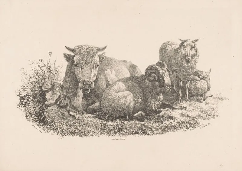 Koe Ram En Twee Schapen Wall Art by Jan Kobell III - High-Resolution Digital Print