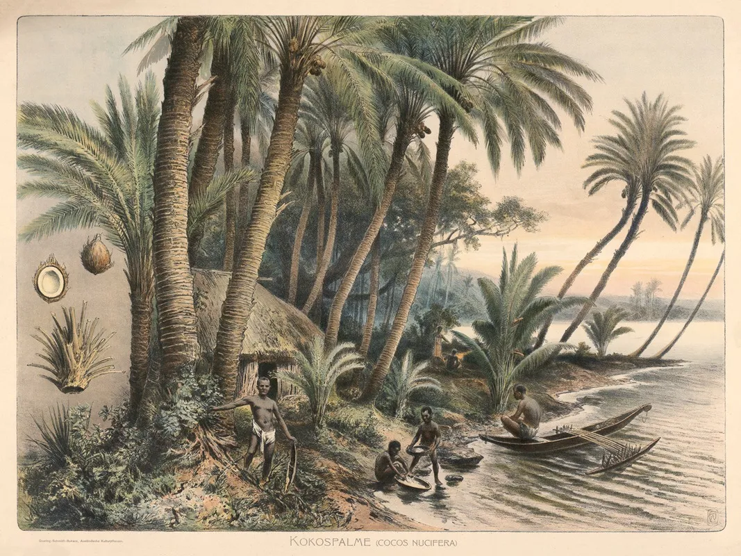 Kokospalme Cocos Nucifera Wall Art by Goering-Schmidt - High-Resolution Digital Print