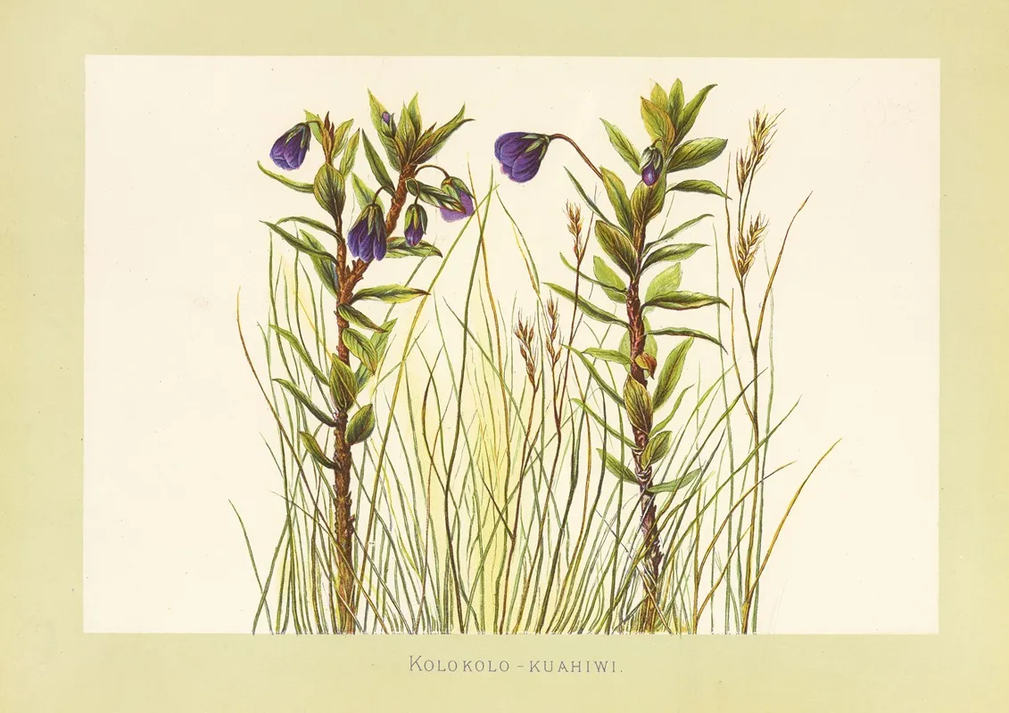 Kolokolo Kuahiwi Wall Art by Isabella McHutcheson Sinclair - High-Resolution Digital Print